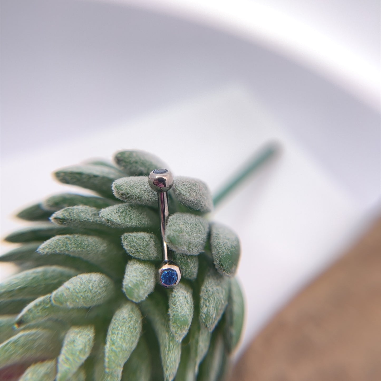 Titanium Curved Barbell with Gem Ends - Threaded