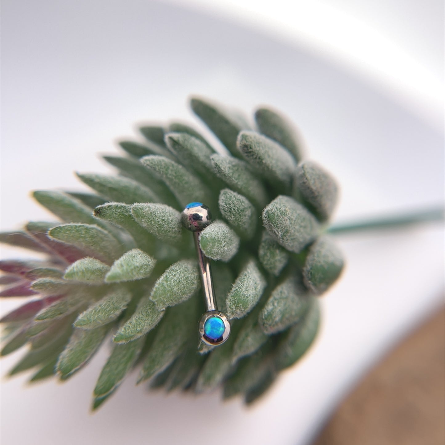 Titanium Curved Barbell with Gem Ends - Threaded