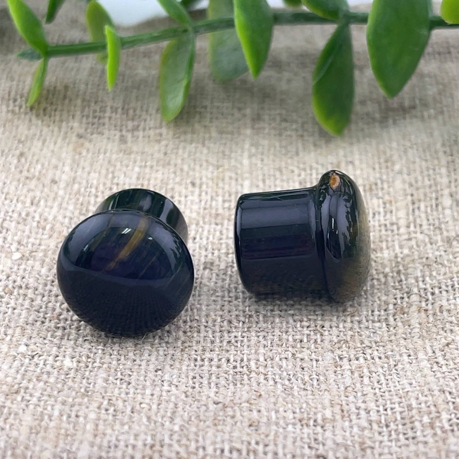 Blue Tiger's Eye Single Flare Plugs - Pair - Agave in Bloom