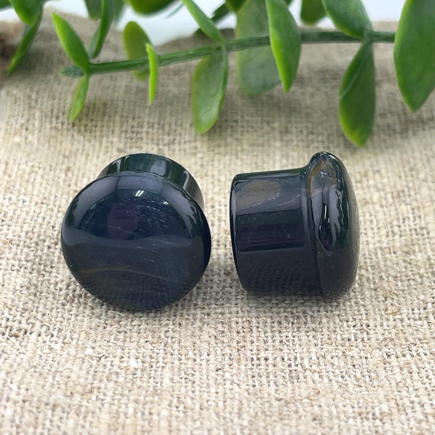 Blue Tiger's Eye Single Flare Plugs - Pair - Agave in Bloom