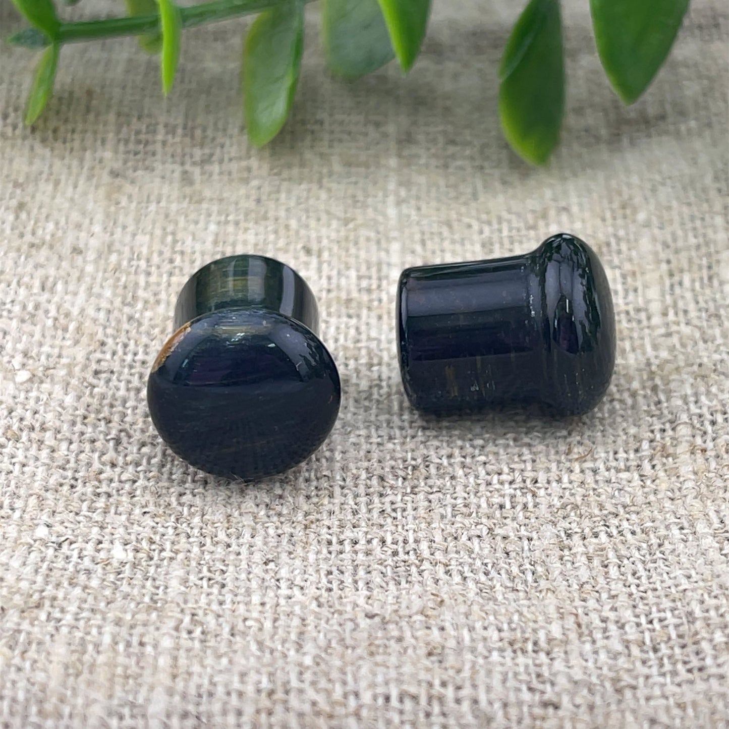 Blue Tiger's Eye Single Flare Plugs - Pair - Agave in Bloom