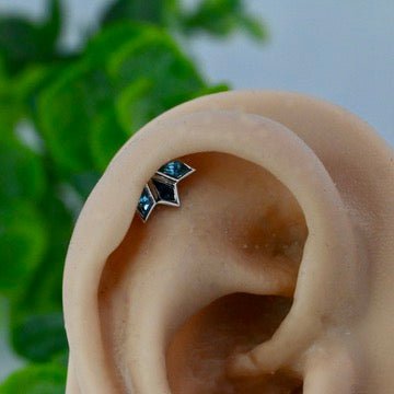 By Your Side - Agave in Bloom