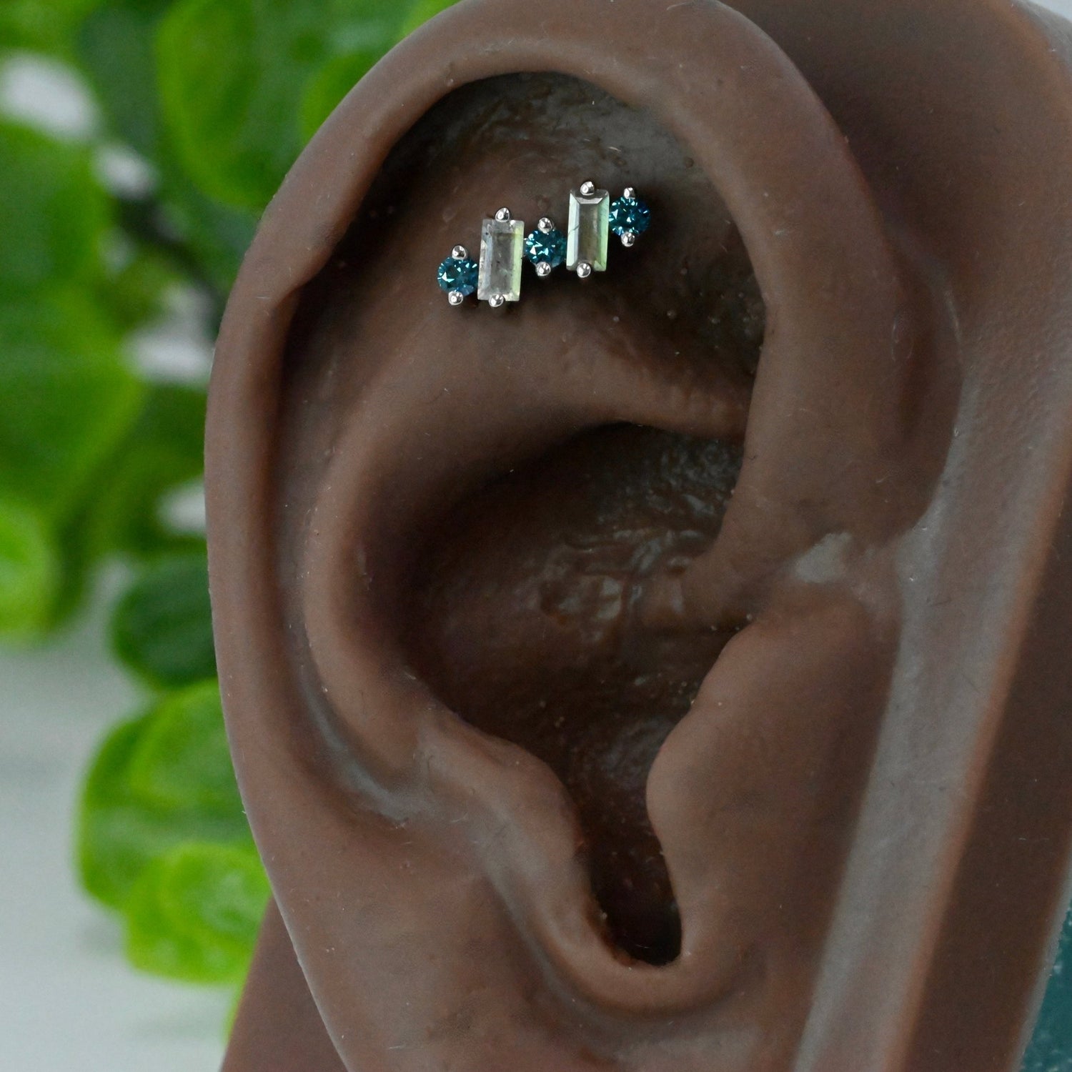 Divina - Agave in Bloom