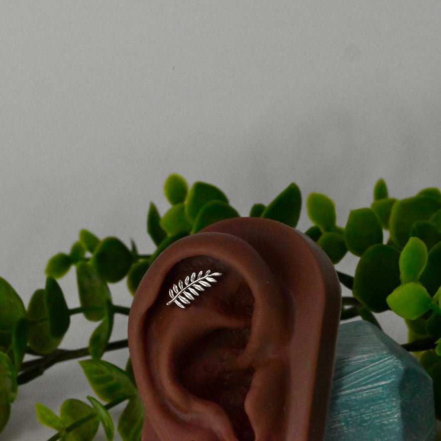 Fern - Agave in Bloom