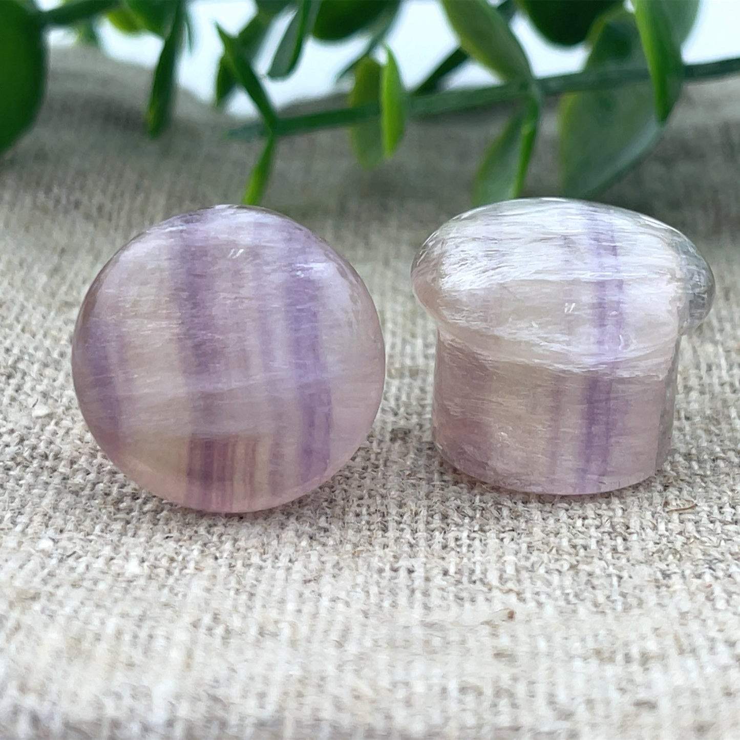 Flourite Single Flare Plugs - Pair - Agave in Bloom