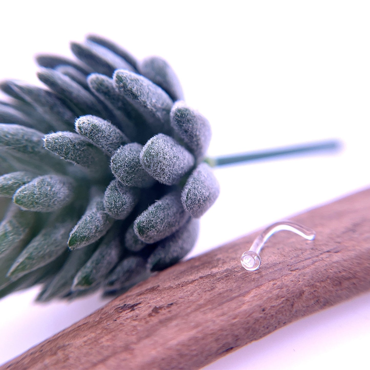 Glass Nostril Retainer - Agave in Bloom
