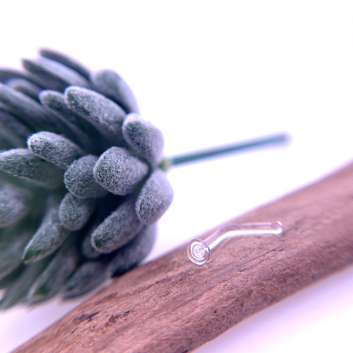 Glass Nostril Retainer - Agave in Bloom