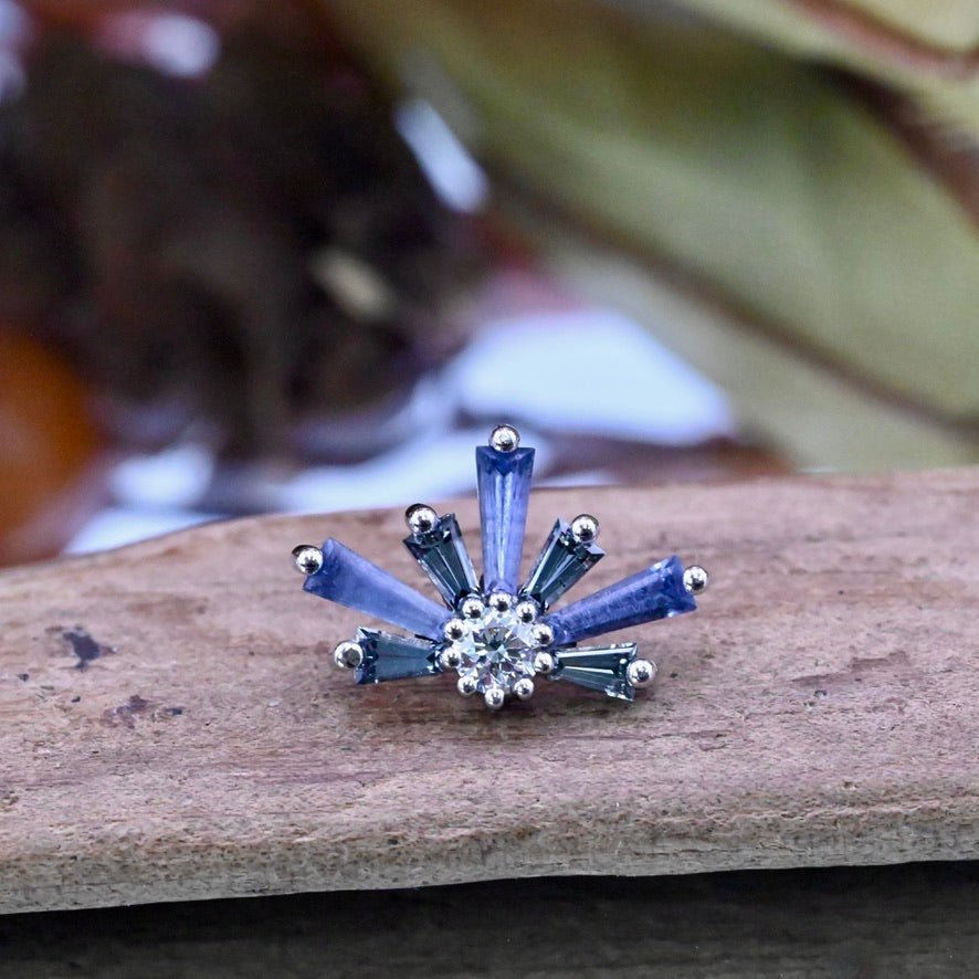 Half Supernova - Agave in Bloom