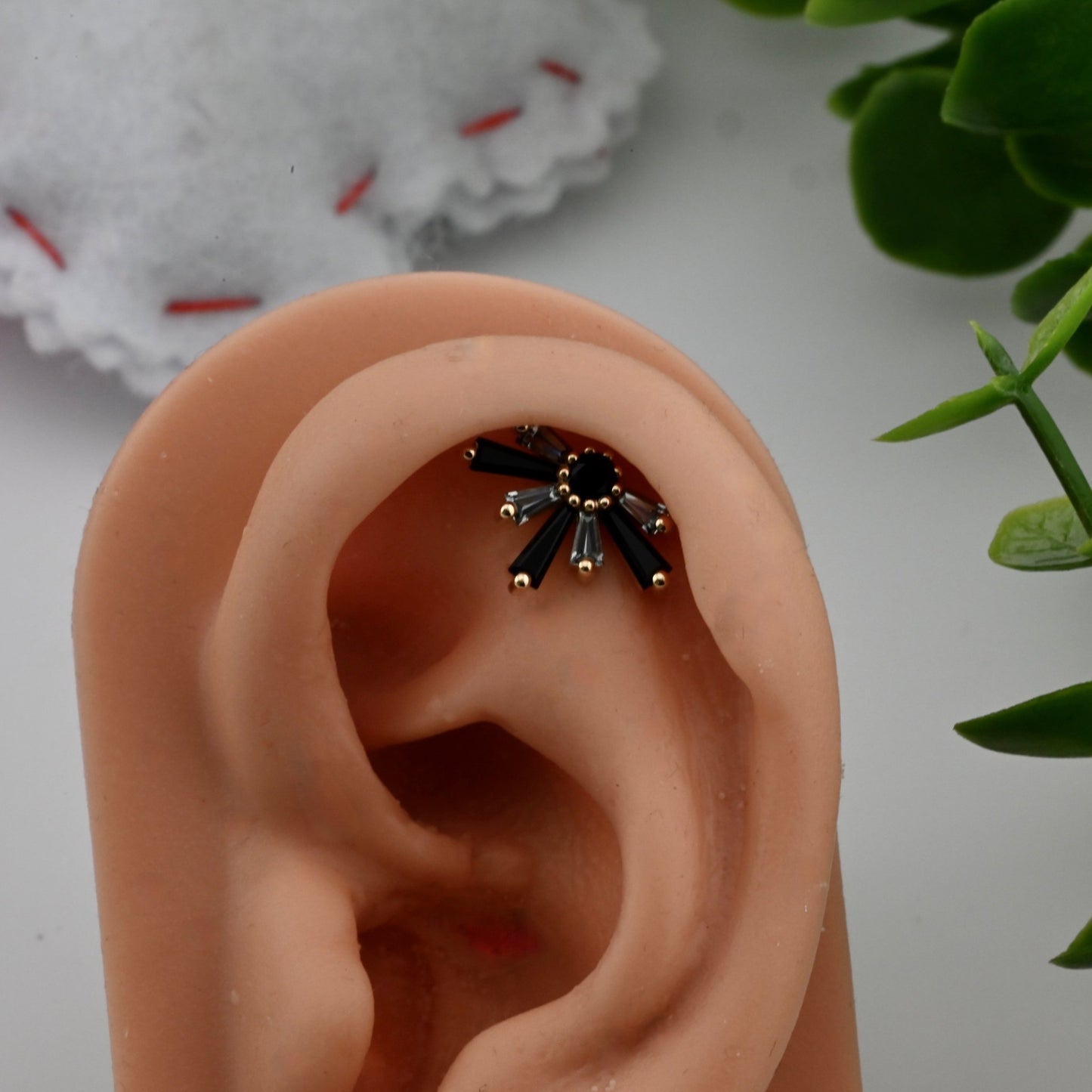 Half Supernova - Agave in Bloom