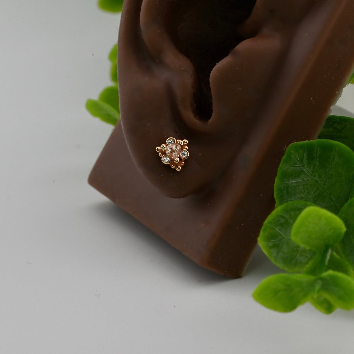 Helana - Agave in Bloom