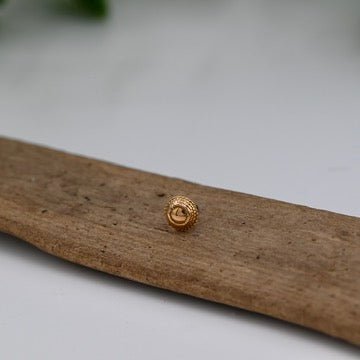 Hera End - Agave in Bloom