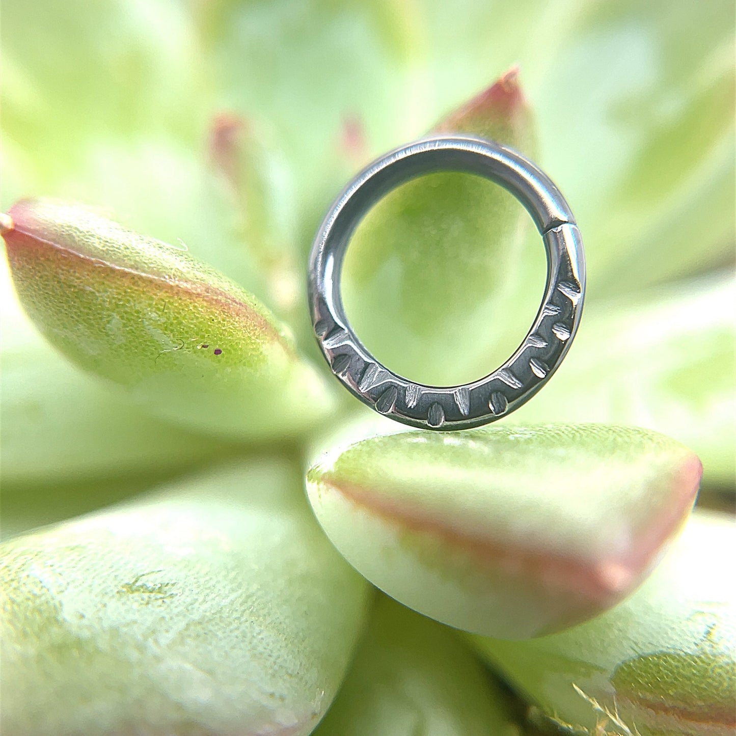 Herringbone High Polish Black Niobium Seam Ring - Agave in Bloom