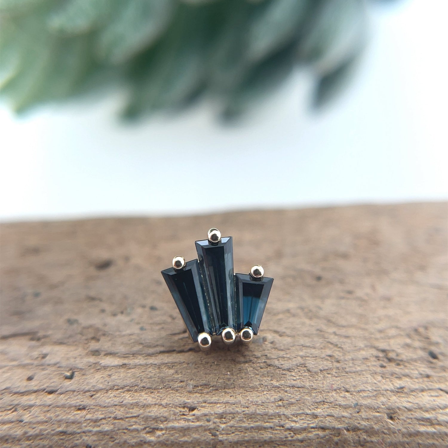 Labels or Love - Agave in Bloom