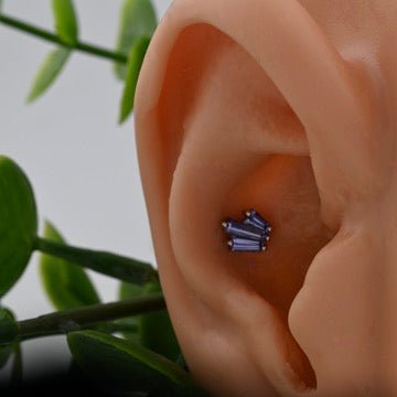 Labels or Love - Agave in Bloom