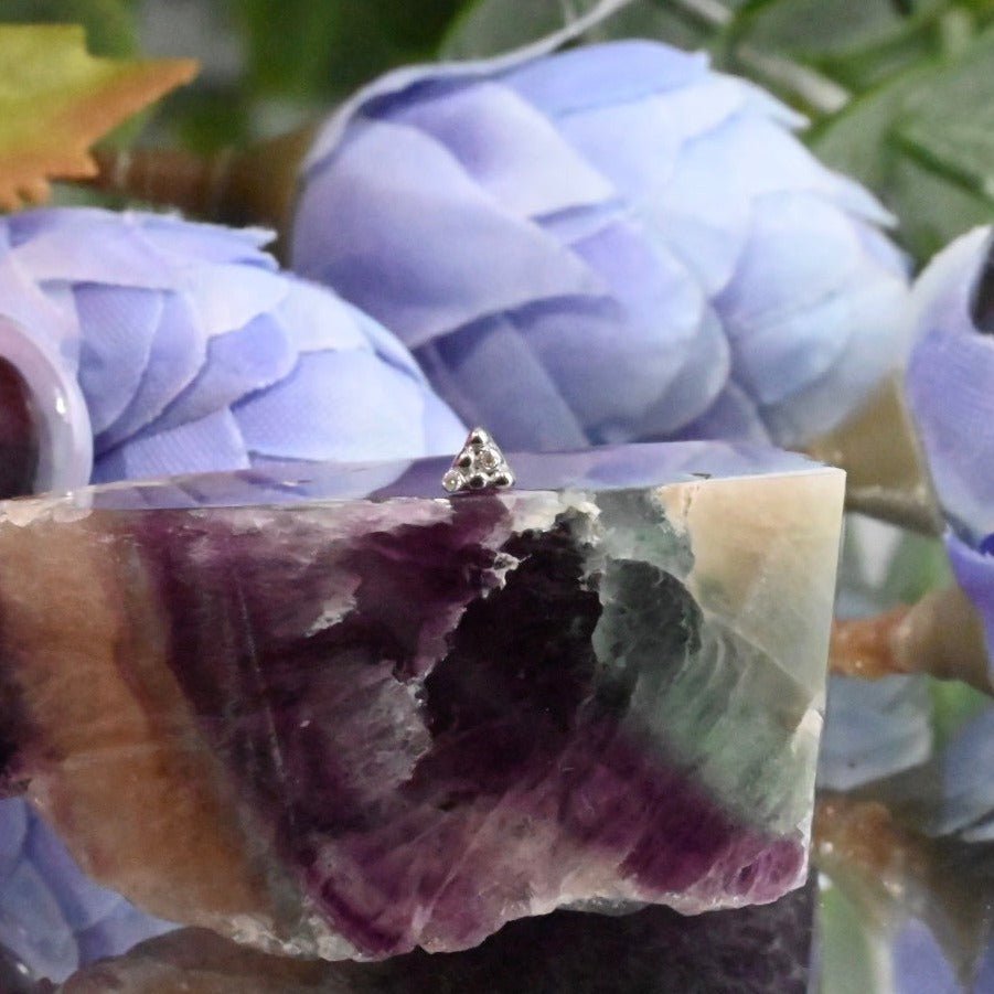 Little Secret 6 - Agave in Bloom