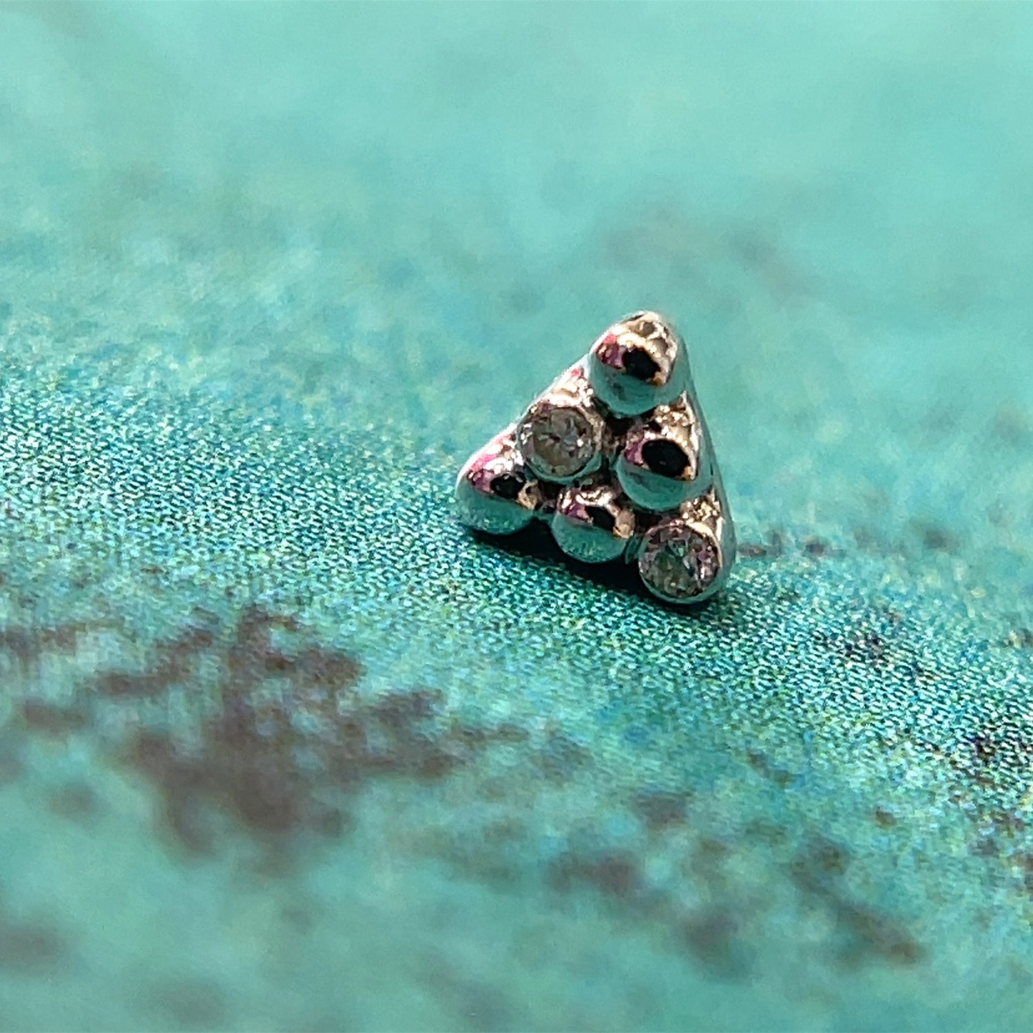 Little Secret 6 - Agave in Bloom