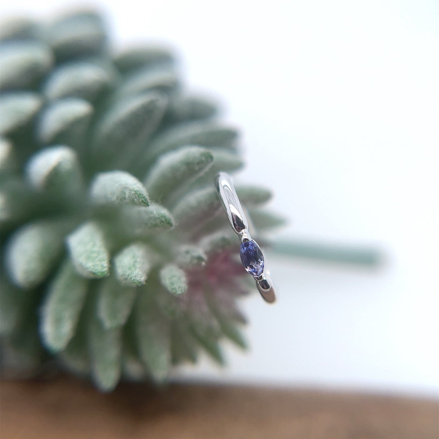 Marquise V Prong Fixed Ring (navel orientation) - Agave in Bloom