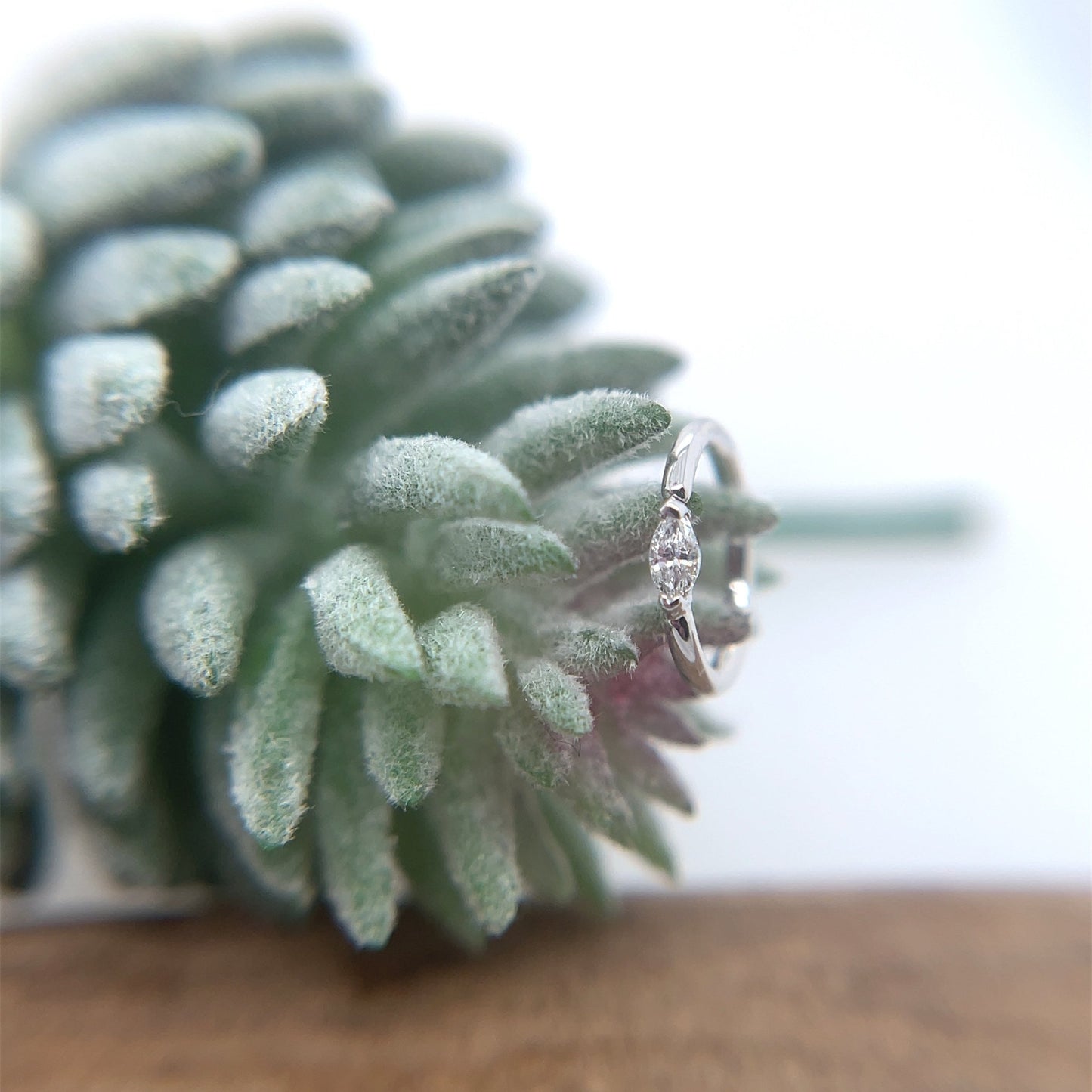 Marquise V Prong Fixed Ring (navel orientation) - Agave in Bloom