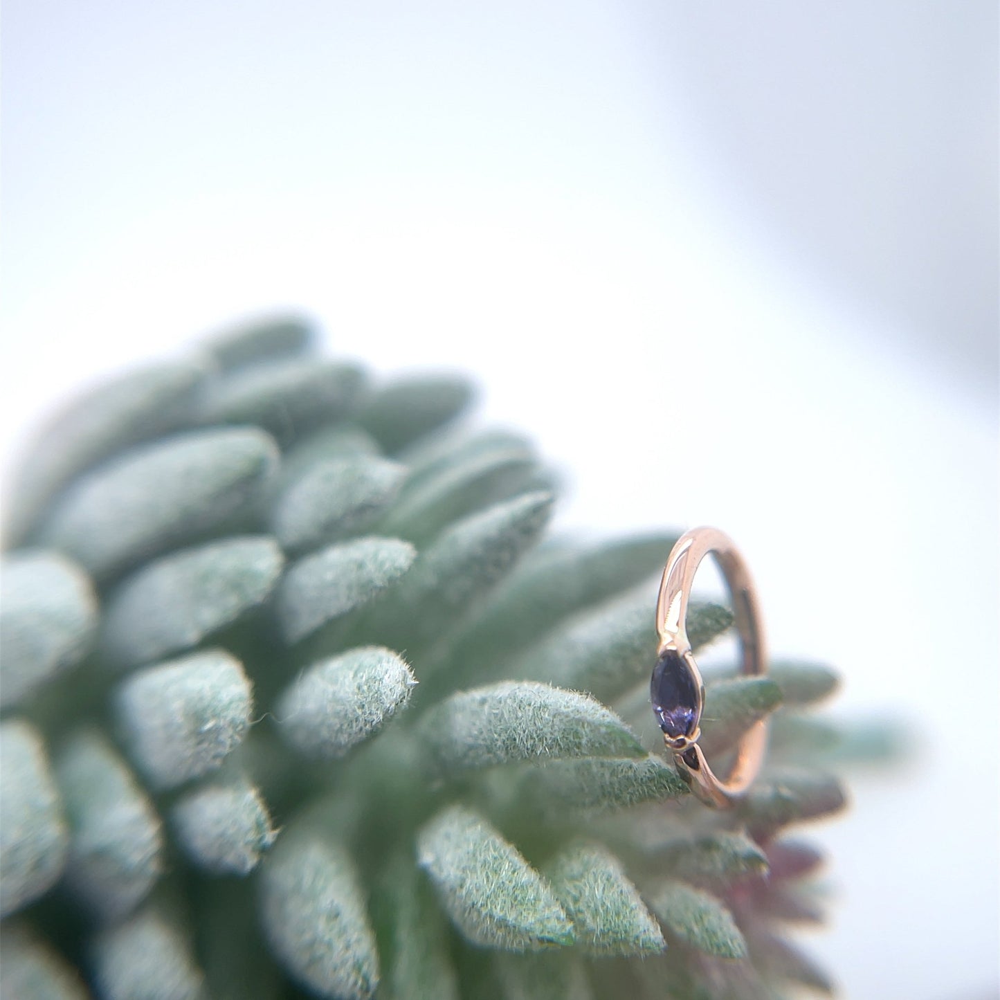 Marquise V Prong Fixed Ring (navel orientation) - Agave in Bloom