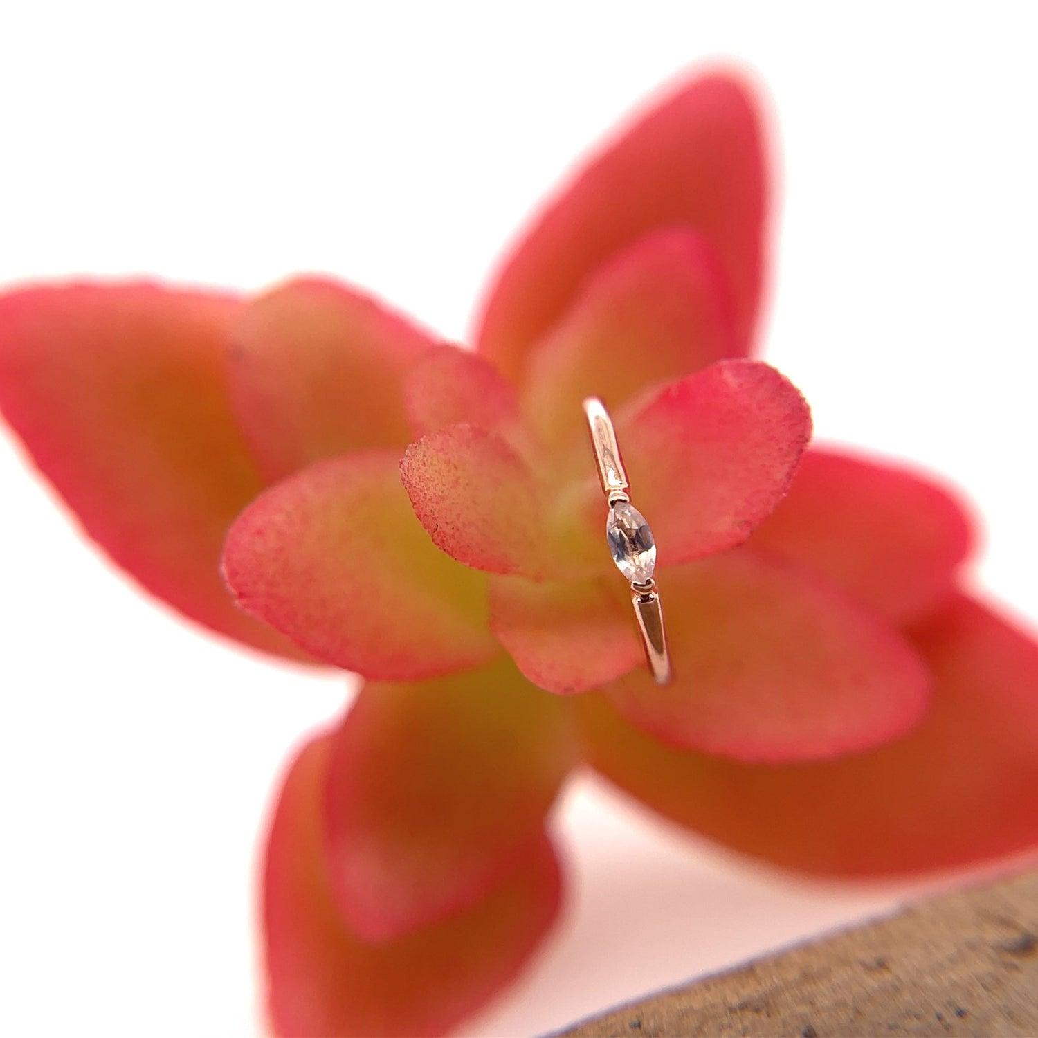Marquise V Prong Fixed Ring (navel orientation) - Agave in Bloom