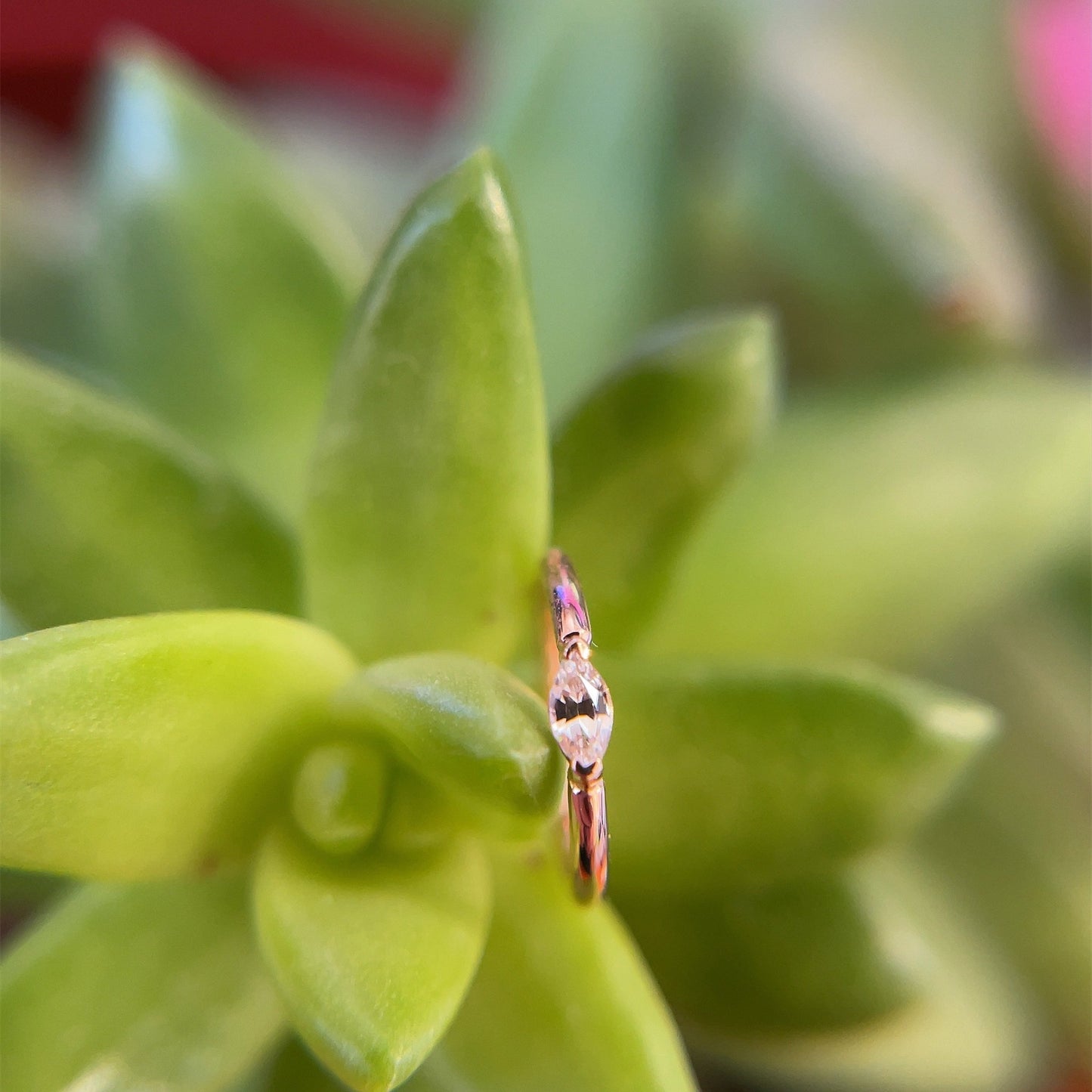 Marquise V Prong Fixed Ring (navel orientation) - Agave in Bloom