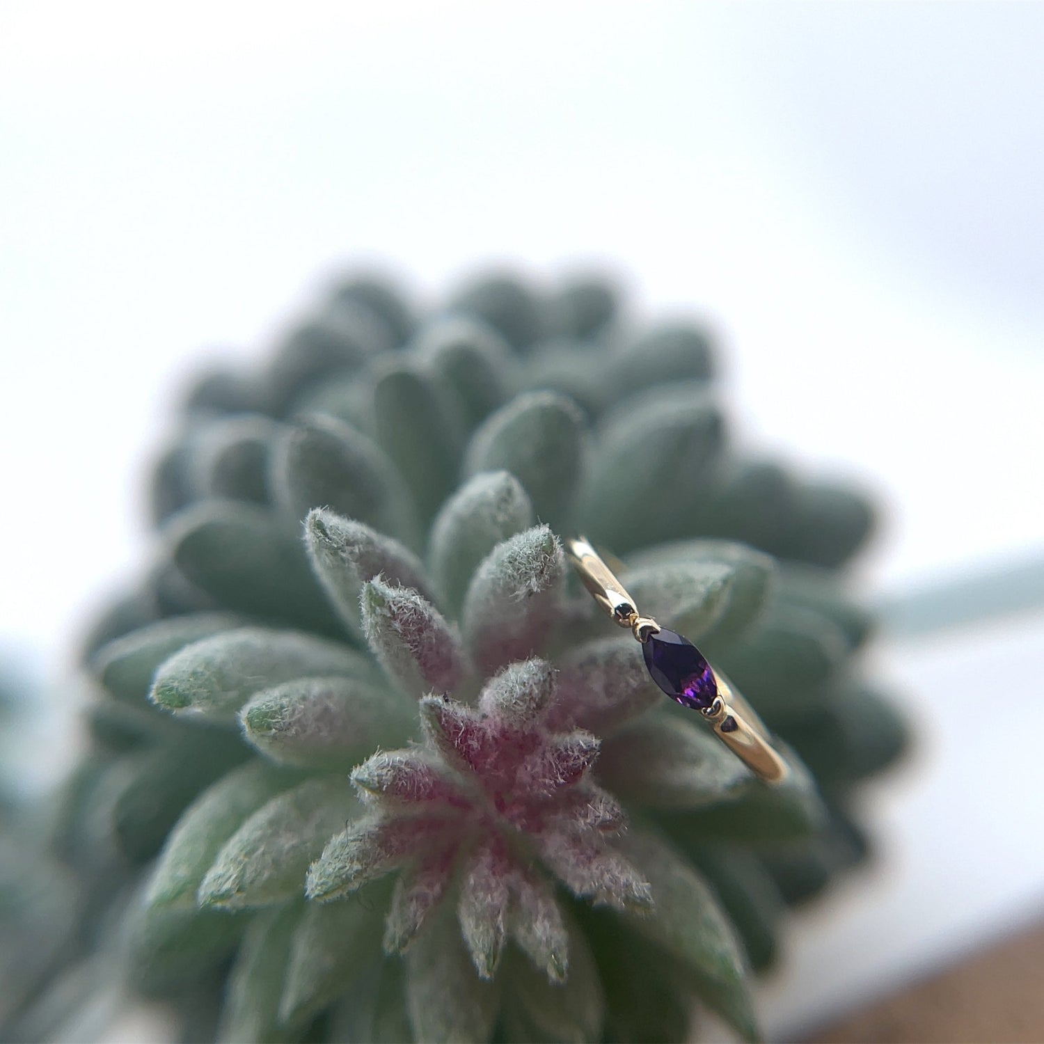 Marquise V Prong Fixed Ring (navel orientation) - Agave in Bloom