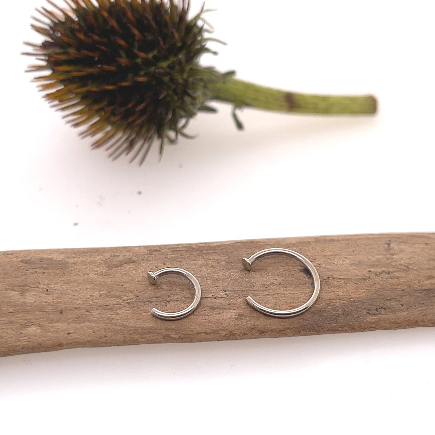 Nostril Nail - Agave in Bloom