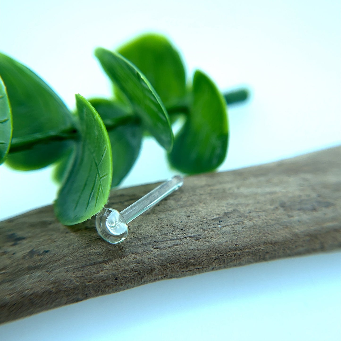 Single Flare Retainer - Agave in Bloom