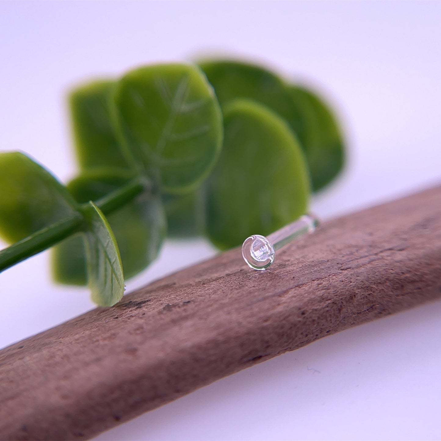 Single Flare Retainer - Agave in Bloom