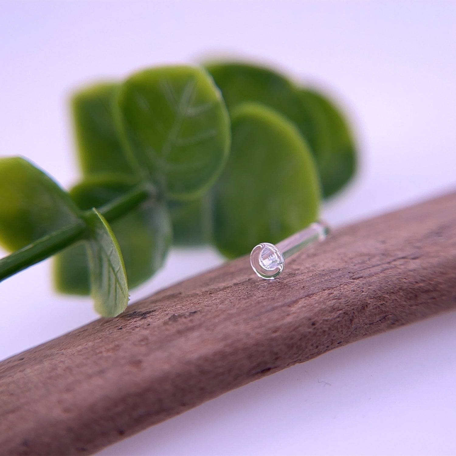 Single Flare Retainer - Agave in Bloom