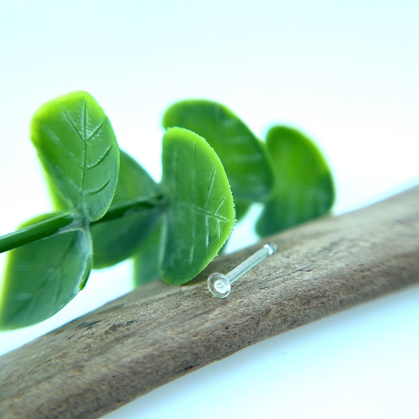 Single Flare Retainer - Agave in Bloom