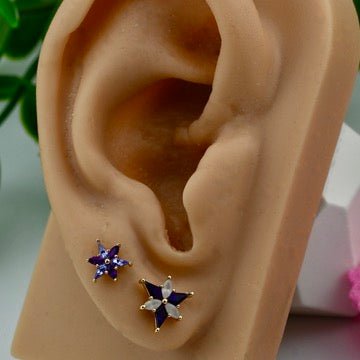 Stargazer - Agave in Bloom