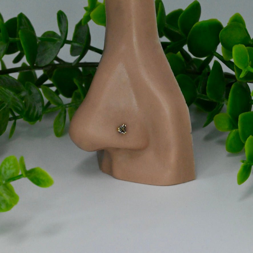 Tanti - Threaded - Agave in Bloom