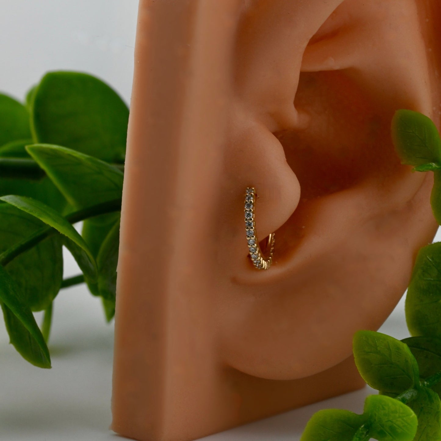 Telesto - Agave in Bloom