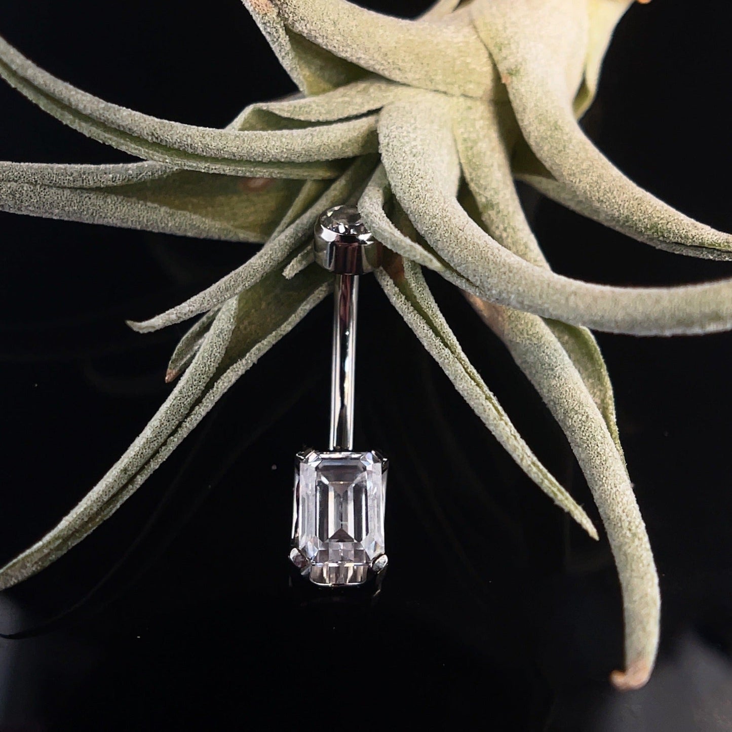 Titanium Emerald Cut Navel Curve - Agave in Bloom