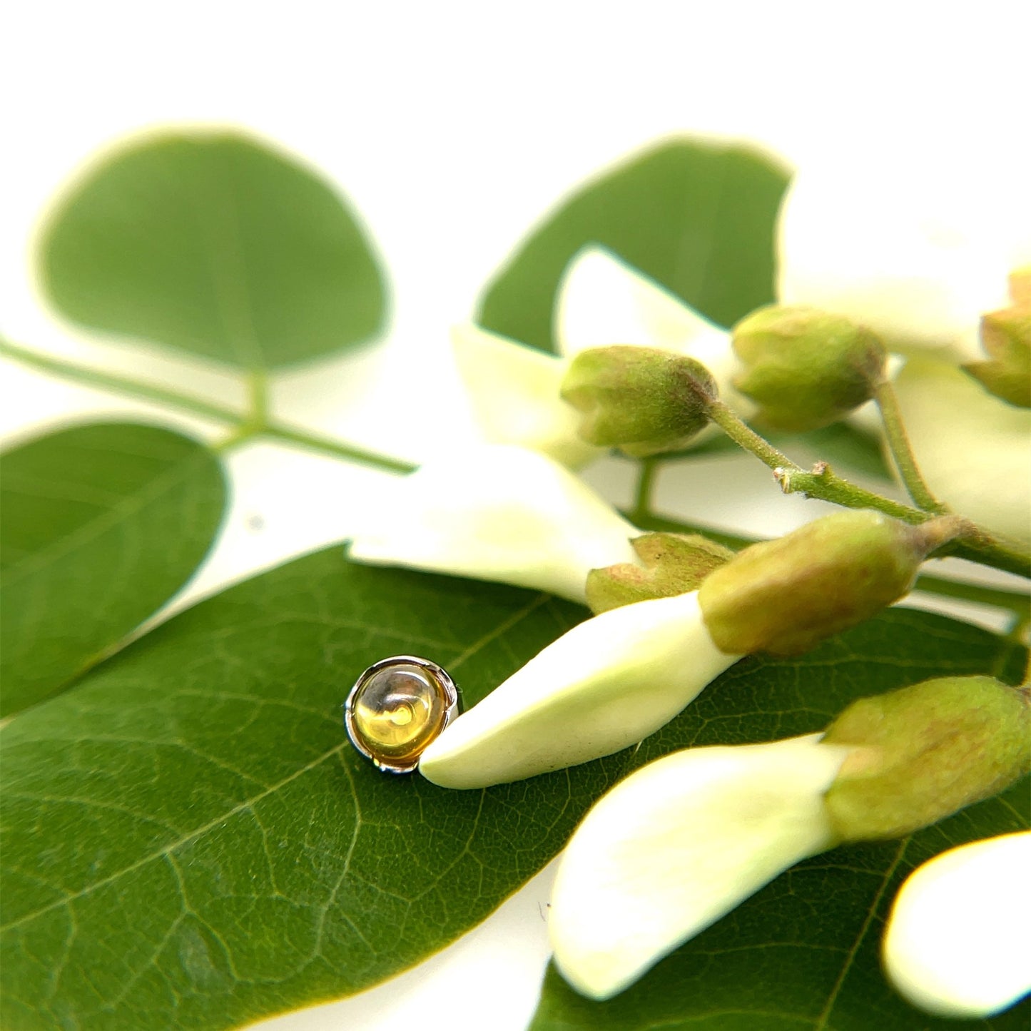 Titanium Prong End - 4mm 14g Threaded - Agave in Bloom