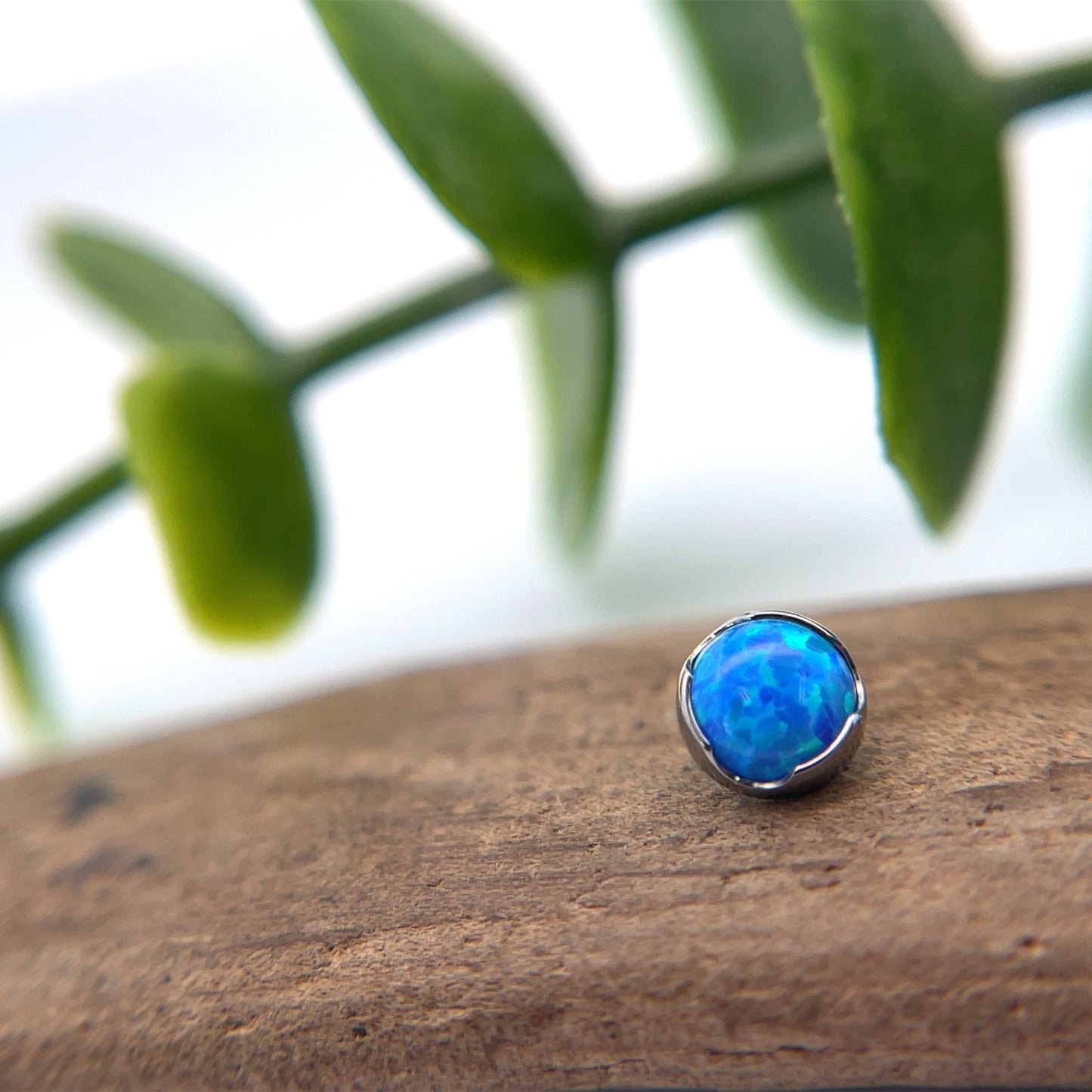 Titanium Prong End - 4mm 14g Threaded - Agave in Bloom