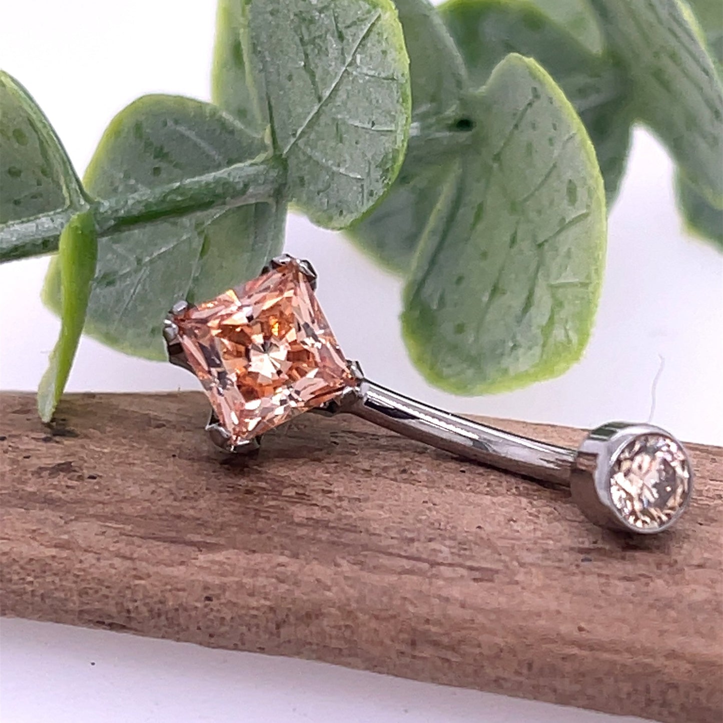 Titanium Square Cut Navel Curve - Agave in Bloom