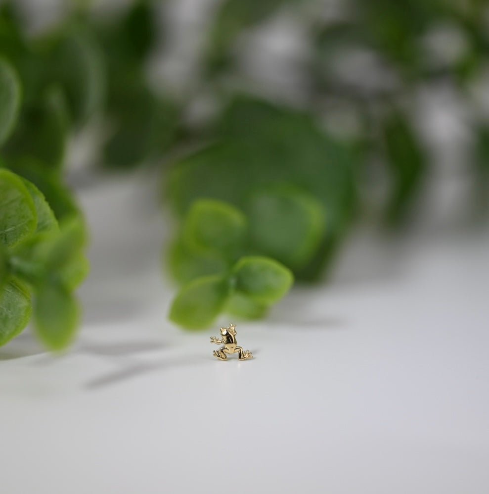 Tree Frog - Agave in Bloom
