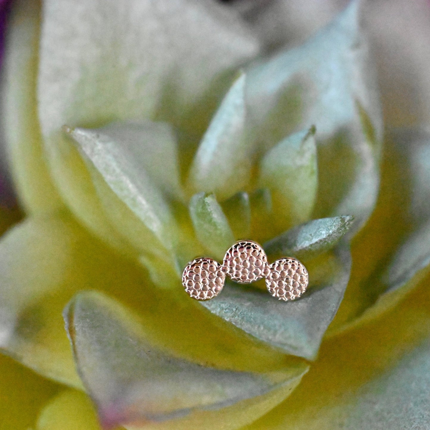 Tri Disc Curved Cluster - Pave Texture - Agave in Bloom