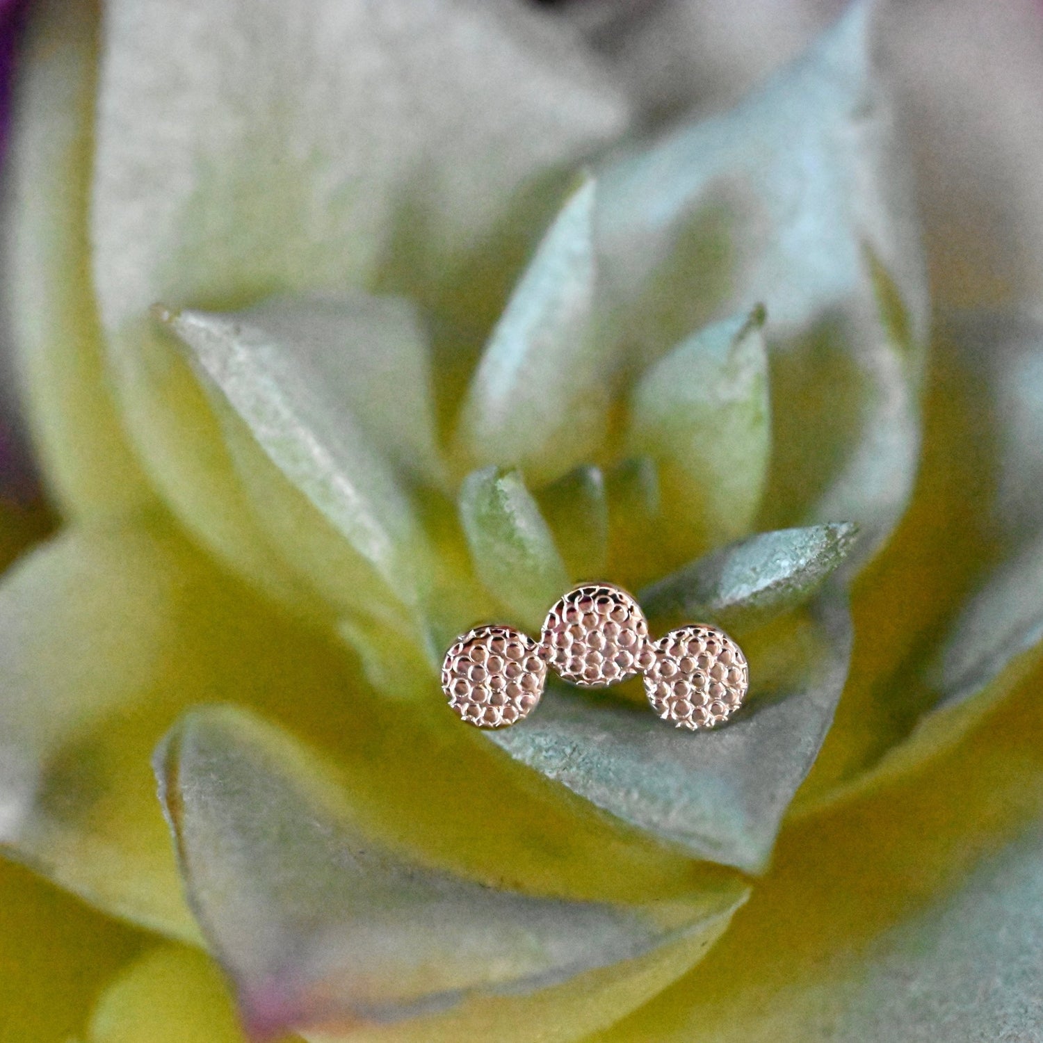 Tri Disc Curved Cluster - Pave Texture - Agave in Bloom