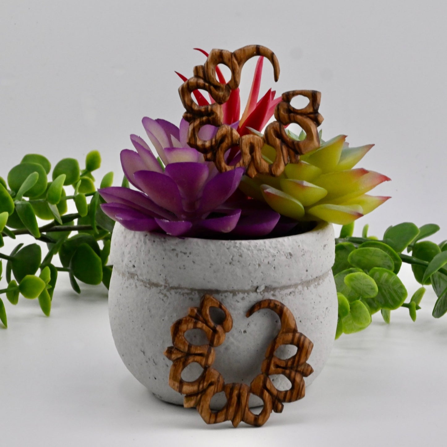 Vetiver - Zebra Wood 8g Pair - Agave in Bloom