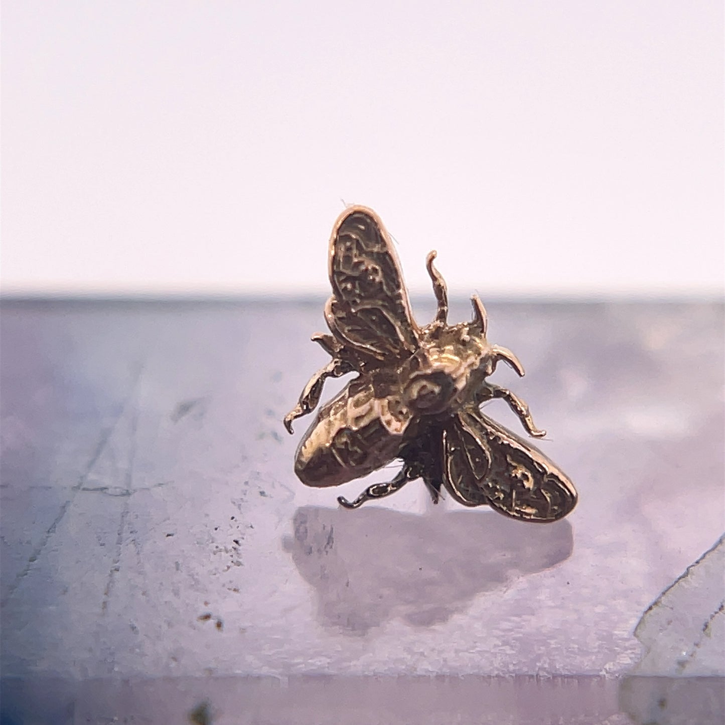Bee 7mm