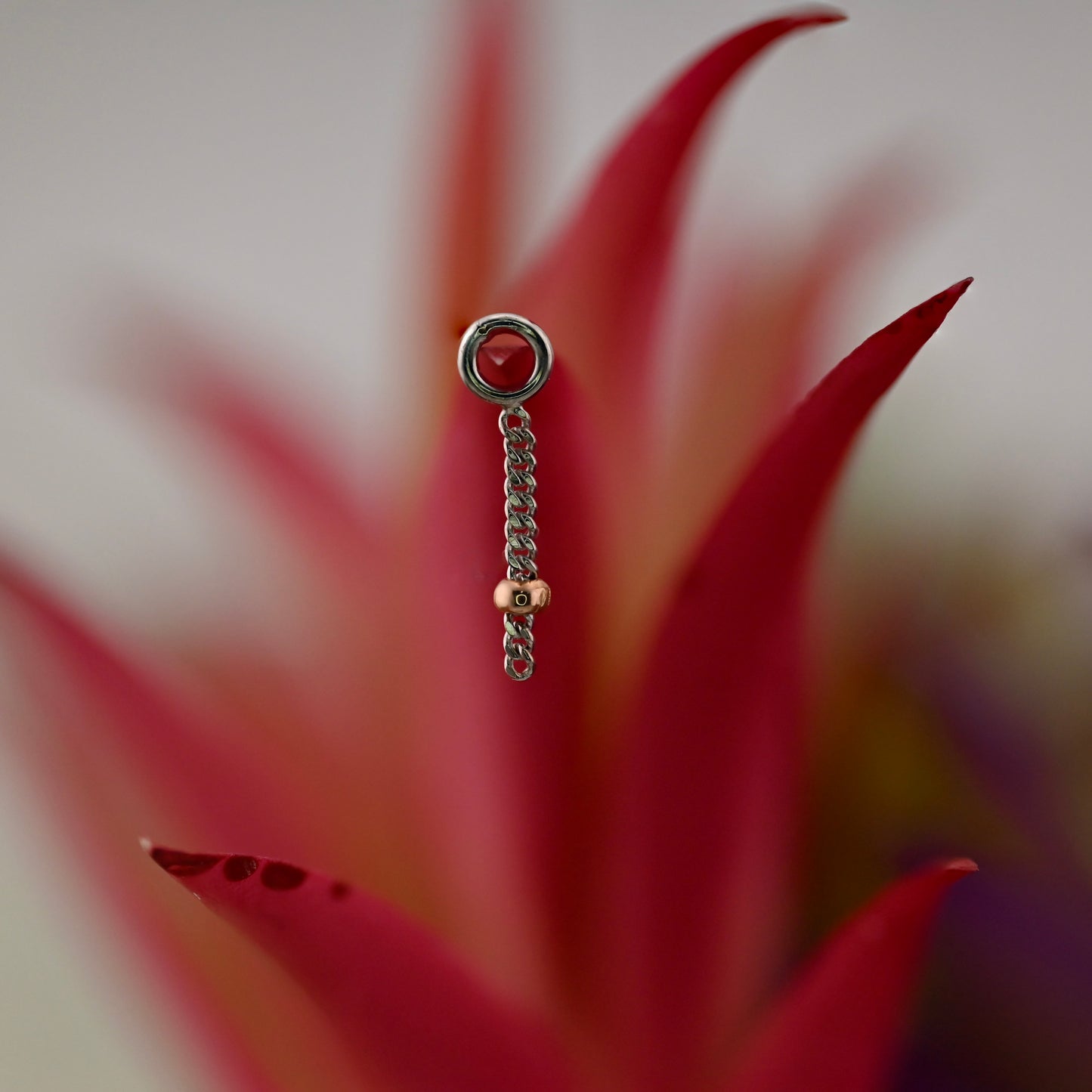 Avona Charm