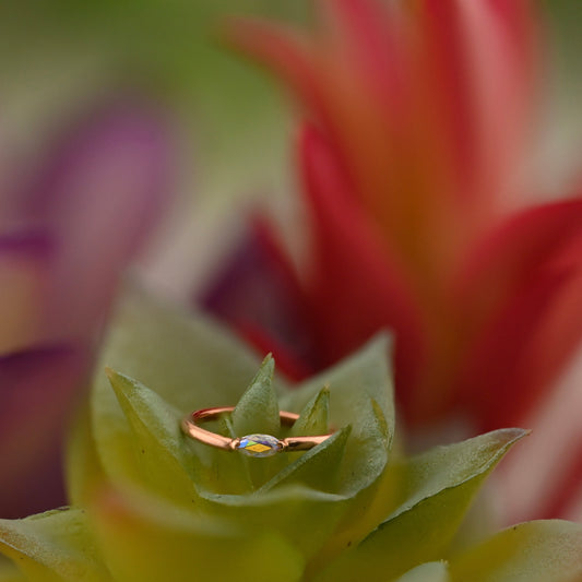 Marquise V Prong Fixed Ring