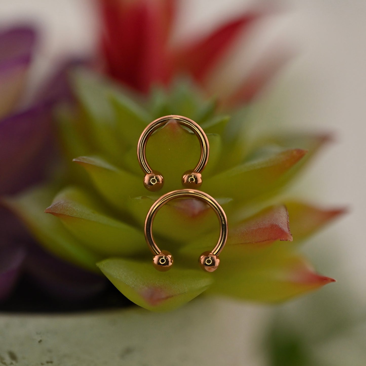 14K Gold Circular Barbell