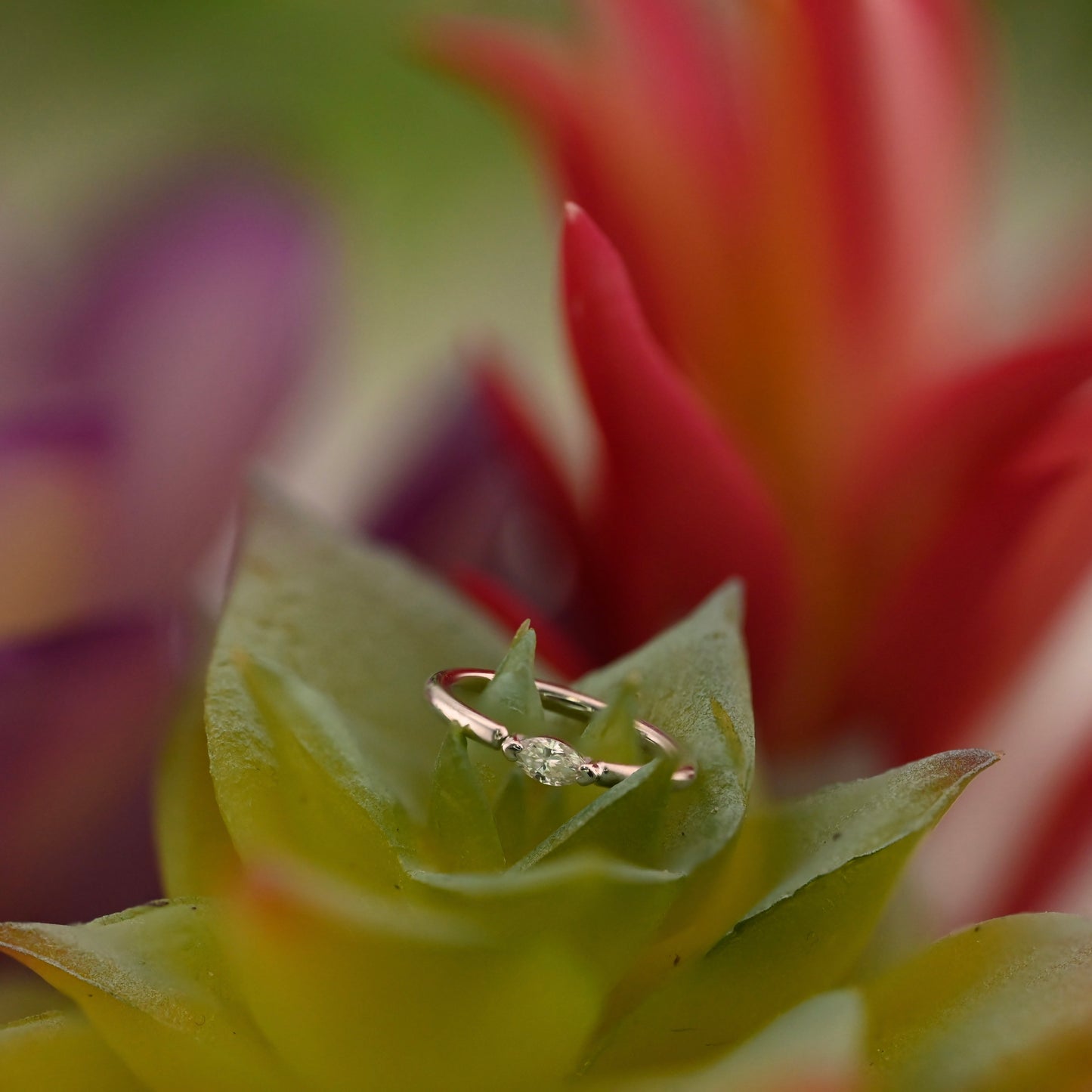 Marquise V Prong Fixed Ring