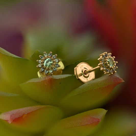 Traditional Earring with La Pousette Backing