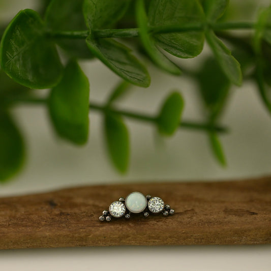 Haute Couture Curve - 2HT-10