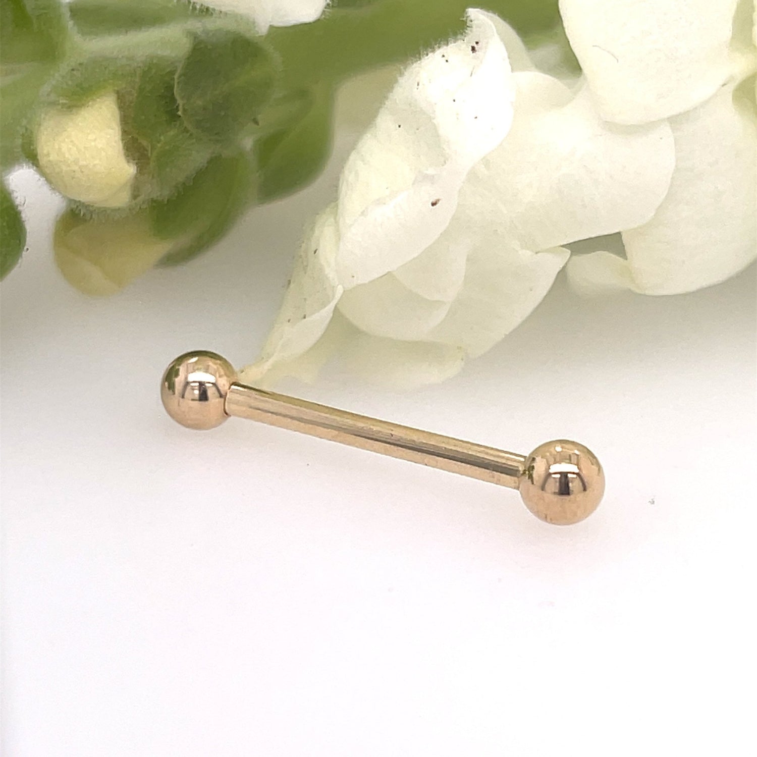 14g Straight Barbells - 14K Gold Fixed/Threaded - Agave in Bloom